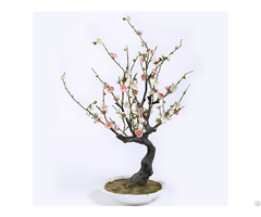 Silk Plum Blossoms