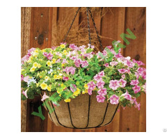 Hanging Basket1