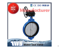 Dn50 Cast Iron Butterfly Valve With Worm Gear