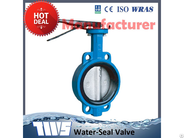 Cast Iron Wafer Butterfly Valve