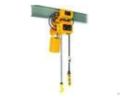 220v 440v Electric Chain Hoist Leading Crane Steel Material 3m Standard Lifting Height