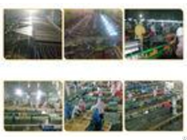 Orange Processing Fruit Canning Equipment High Precision Custom Design