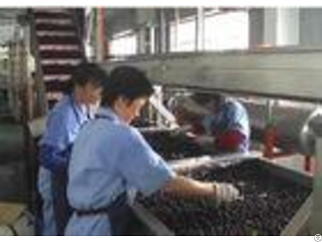 Automatic Small Scale Canning Equipmentcanned Blueberry Production Line