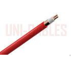 Bs En60702 Fire Proof Cable 2 Cores Mineral Insulated Heavy Duty 750v