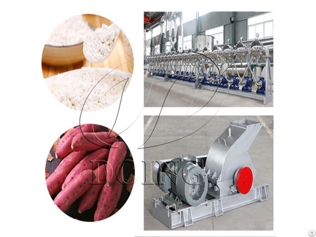 Sweet Potato Manufacturing Plant For Making Starch