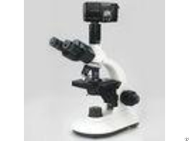 Trinocular Head Electric Binocular Microscope Optical Glass Lens 100x Objective