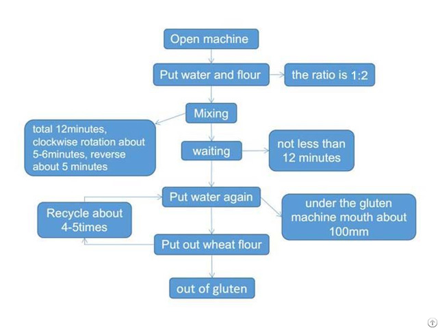 Automatic Gluten Meat Making Machine