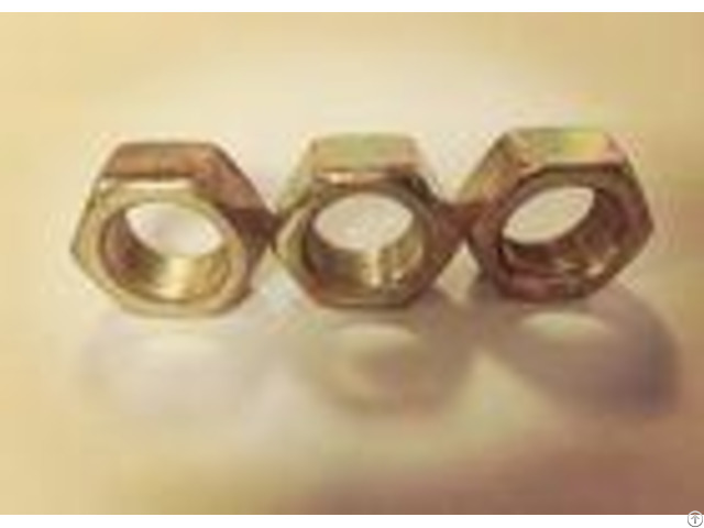 Anti Theft Security Fine Thread Hex Nuts M16x1 5 Free Sample For Construction