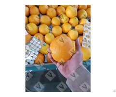 Valencia Orange