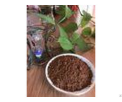 Health Fine Alkalised Cocoa Powder For Ike European Cakes And Pastries