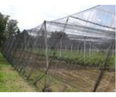 High Tensile Strength Insect Netting For Greenhouse Black 0 6 0 6mm Iso 9001