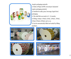 Aseptic Packaging Paper Carton Box