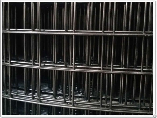 Black Welded Wire Mesh