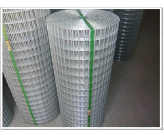 Galvanized Welded Wire Mesh