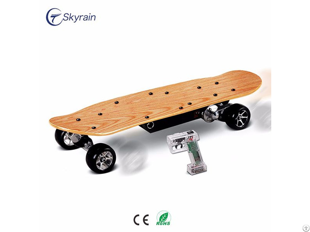 Electric Skateboard