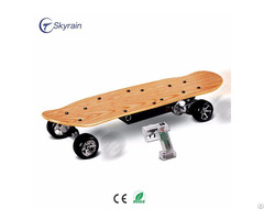 Electric Skateboard