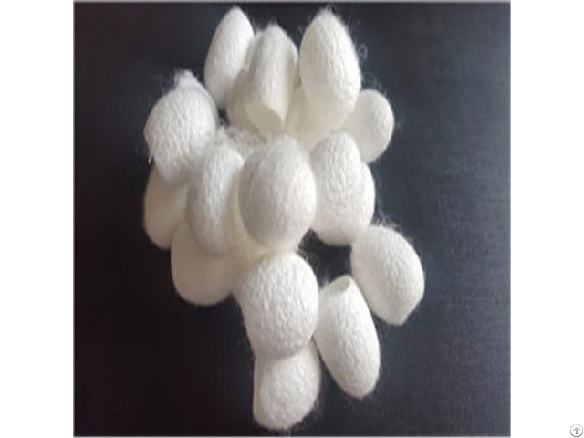 Raw Cut Silkworm Cocoon For Beauty