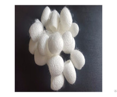 Raw Cut Silkworm Cocoon For Beauty