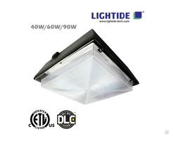 Dlc Premium Fuel Pump Canopy Led Luminaires Lt Sgsal 60w