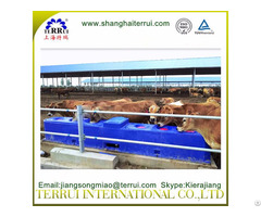 Animal Drinking Waterer