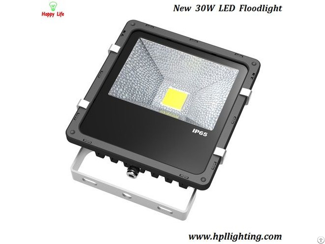 New 30w Led Floodlights