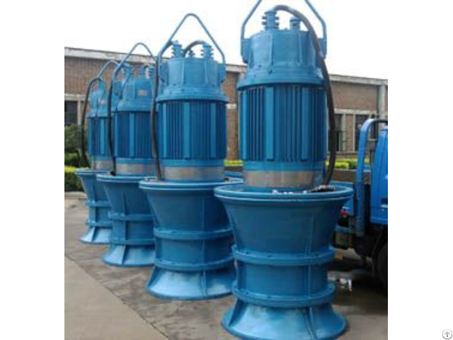 Axial Flow Pump