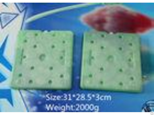 Fda Hard Plastic Reusable Cool Bag Freezer Blocks Eutectic Cold Plates