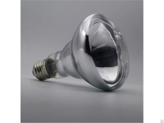 Reptile Basking Spot Bulb R30 R95 150w