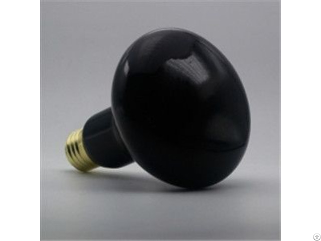 Reptile Moonlight Black Light Bulb R30 R95 150w