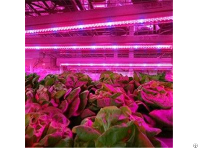 Full Spectrum T8 T5 Plant Led Grow Light Tube