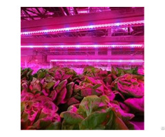 Full Spectrum T8 T5 Plant Led Grow Light Tube