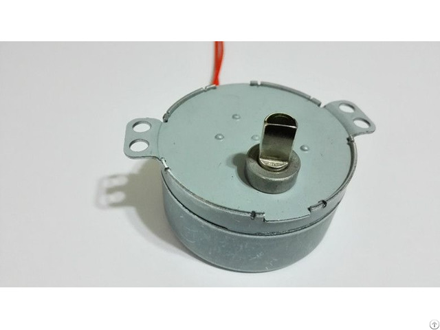 4w 50 60hz Motors For Electric Incubators Synchronous Motor 49tyd