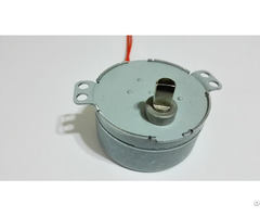 4w 50 60hz Motors For Electric Incubators Synchronous Motor 49tyd