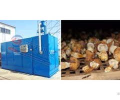 Agaricus Blazei Murrill Dryer Machine