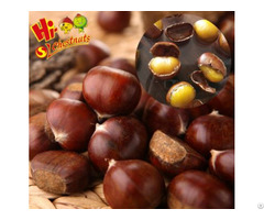 Organic Fresh Chestnuts