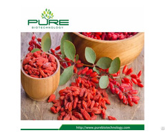 Organic Dried Fruit Goji Berry