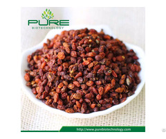 Raw Herbal Dried Sea Buckthorn Berries