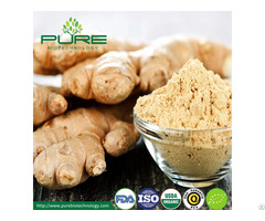 Organic Dried Ginger Powder