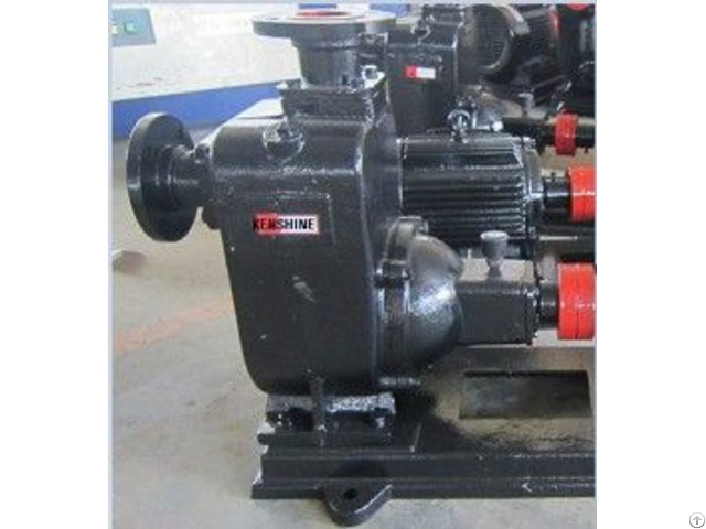 Zw Self Priming Sewage Pump
