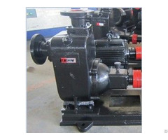 Zw Self Priming Sewage Pump