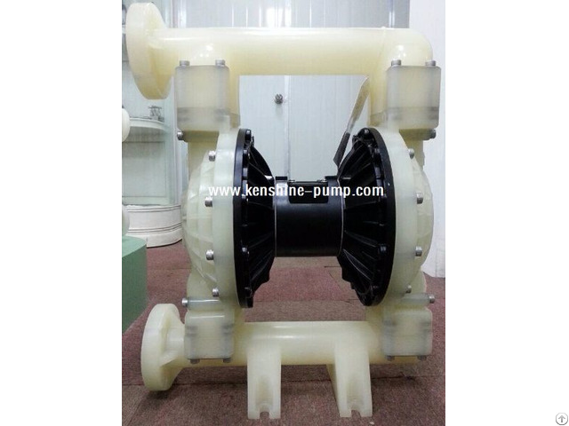 Rw Pneumatic Diaphragm Pump
