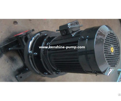 Lw Wl Vertical Sewage Pump