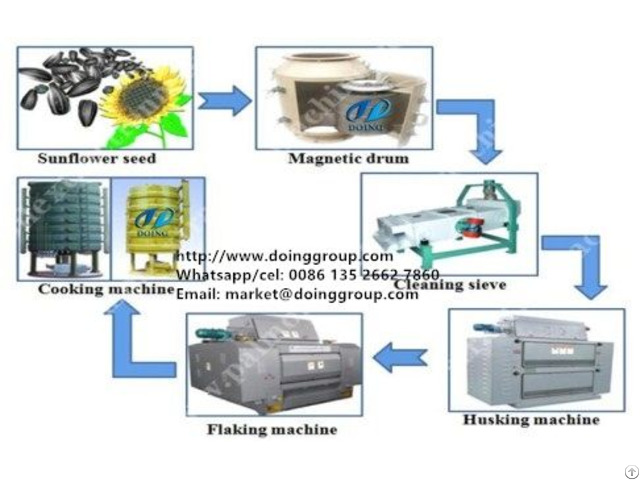 Sunflower Seed Oil Pretreatment And Press Plant Working Process