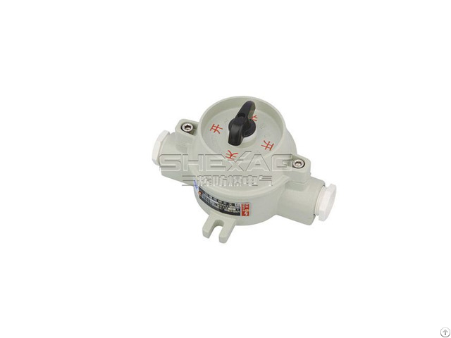 Explosion Proof Illumination Switch