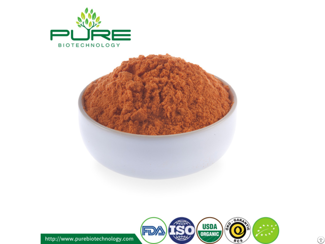 Organic Goji Berry Powder