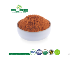 Organic Goji Berry Powder