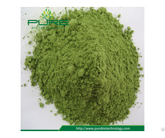 Organic Wheatgrass Powder