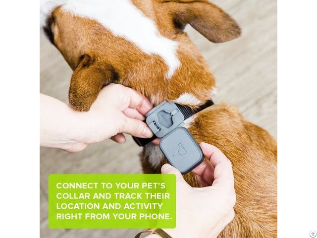 Pet Gps Tracker