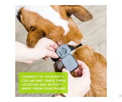 Pet Gps Tracker