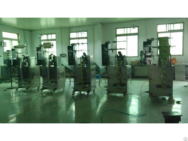 Economical Chain Bucket Packing Machine